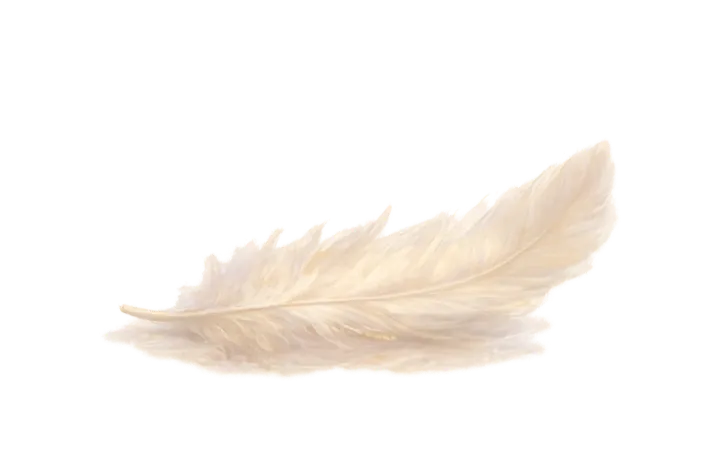 Calling the Spirit Back